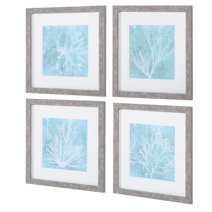 Uttermost Seaweed On Aqua Framed Prints, Set of 4