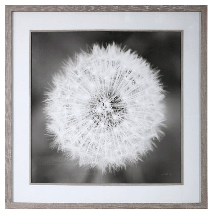 Uttermost Dandelion Seedhead Framed Print