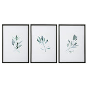 Uttermost Simple Sage Watercolor Prints, Set of 3 - 33723