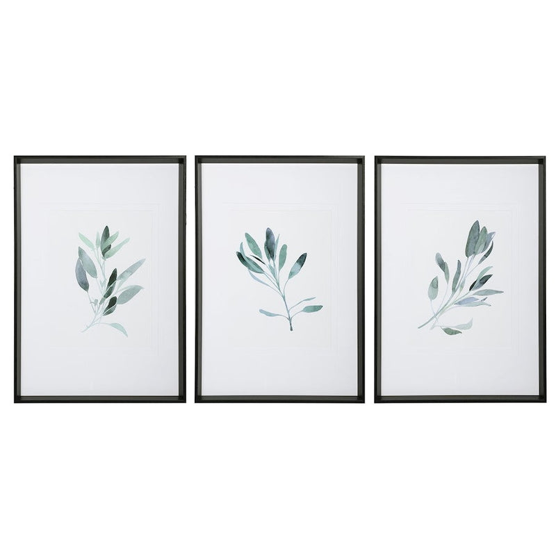 Uttermost Simple Sage Watercolor Prints, Set of 3 - 33723