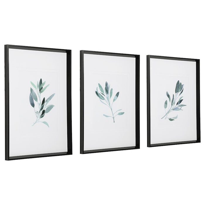 Uttermost Simple Sage Watercolor Prints, Set of 3