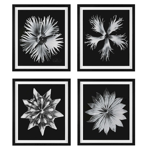 Uttermost Contemporary Floret Framed Prints, Set of 4, Black - 41427