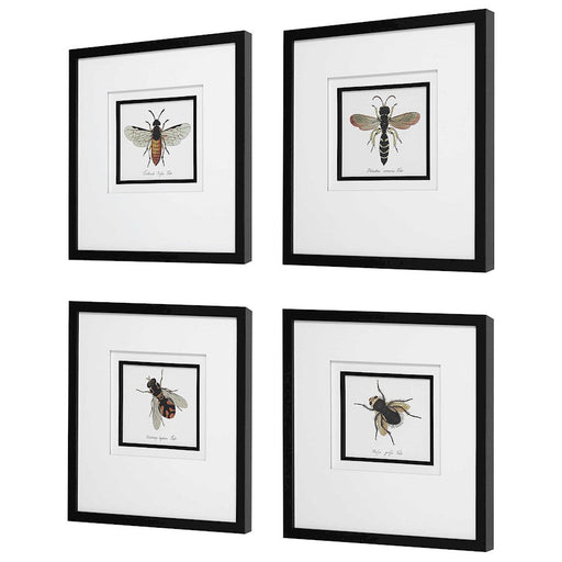 Uttermost Anthophila Framed Prints, Set of 4, White