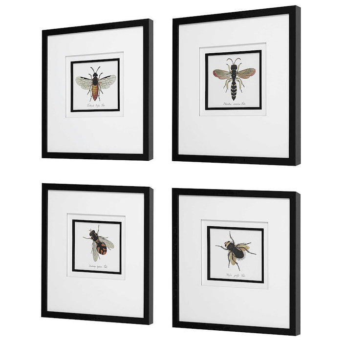 Uttermost Anthophila Framed Prints, Set of 4, White