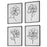 Uttermost Bloom Framed Prints, set of 4, Black/White