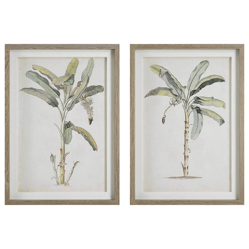 Uttermost Banana Palm Framed Prints, Set of 2, Gray - 41446