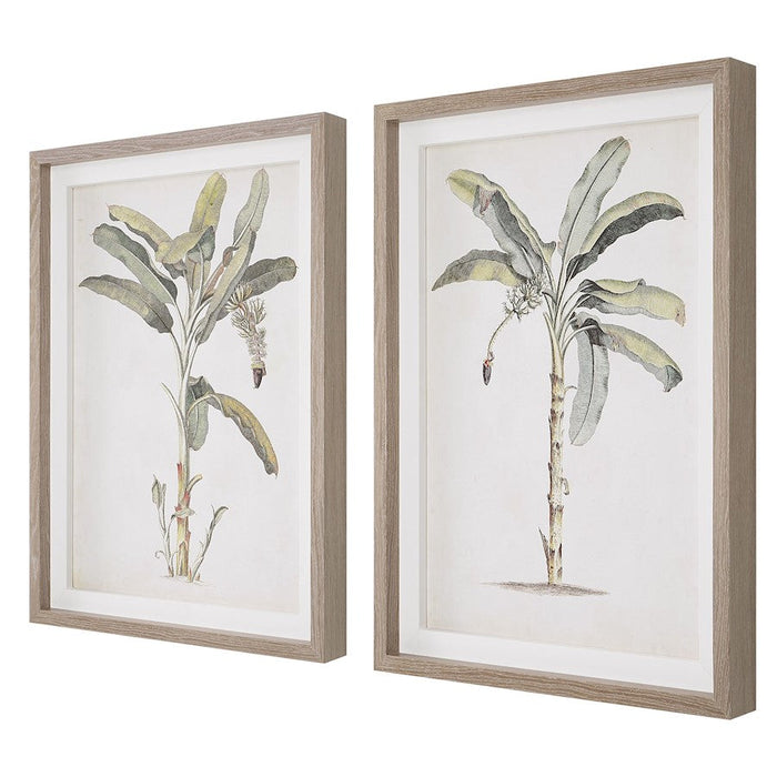 Uttermost Banana Palm Framed Prints, Set Of 2, Gray