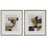 Uttermost Color Block Framed Prints, Set of 2, Oak - 41453