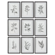 Uttermost Farmhouse Florals Framed Prints, Set of 9, Matte Black Frame - 41617