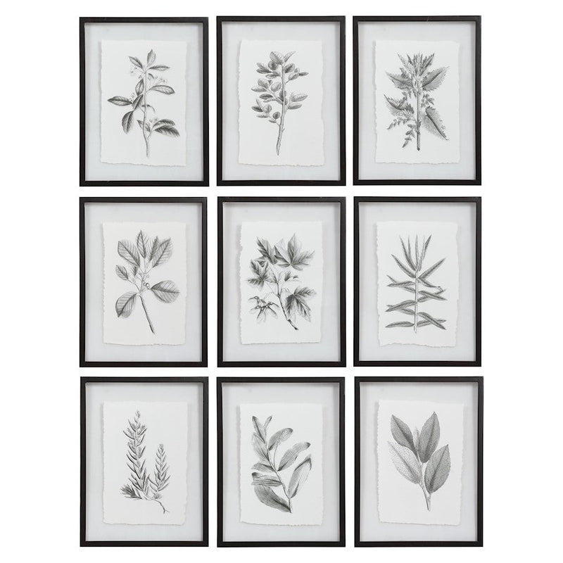 Uttermost Farmhouse Florals Framed Prints, Set of 9, Matte Black Frame - 41617