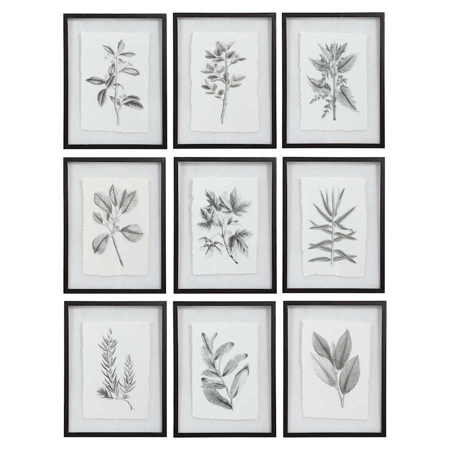 Uttermost Farmhouse Florals Framed Prints, Set of 9, Matte Black Frame - 41617