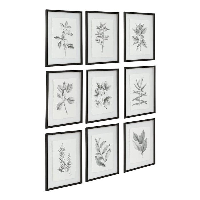 Uttermost Farmhouse Florals Framed Prints, Set of 9, Matte Black Frame