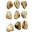 Uttermost Pebbles Wood Wall Decor, Set of 9