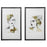 Uttermost Organic Portrait Framed Prints, Set of 2, White/Matte Black - 45097