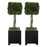 Uttermost Preserved Boxwood Square Topiaries, Set of 2 - 60187