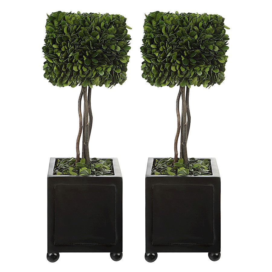 Uttermost Preserved Boxwood Square Topiaries, Set of 2 - 60187