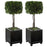 Uttermost Preserved Boxwood Square Topiaries, Set Of 2