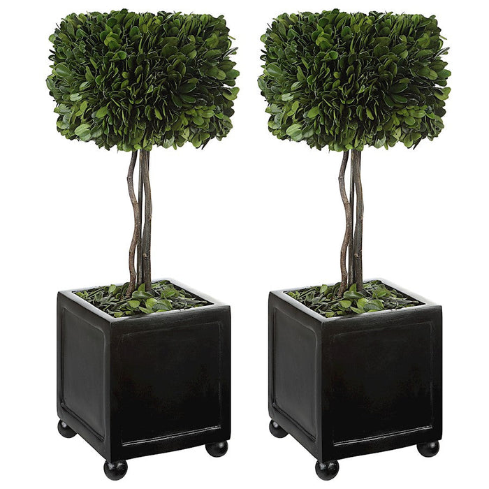 Uttermost Preserved Boxwood Square Topiaries, Set Of 2