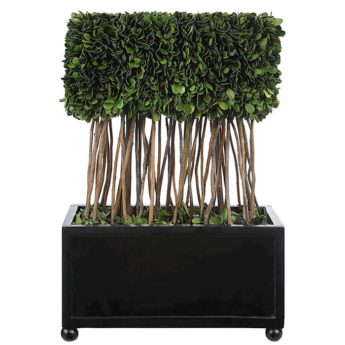 Uttermost Preserved Boxwood Rectangular Topiary - 60188