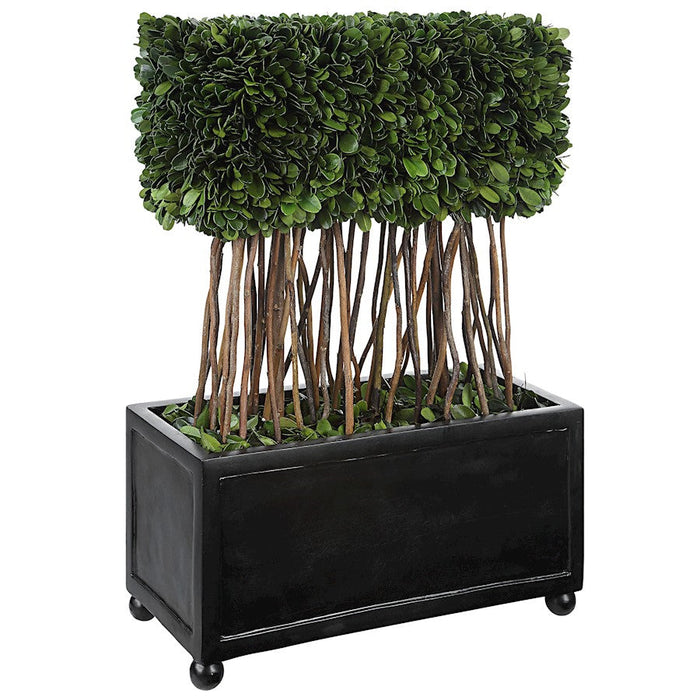 Uttermost Preserved Boxwood Rectangular Topiary