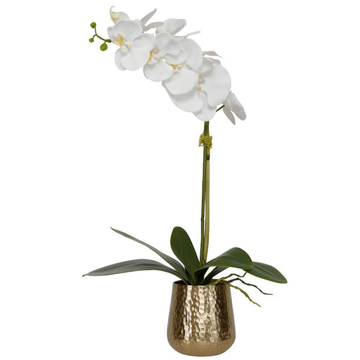 Uttermost Cami Orchid With Brass Pot - 60189