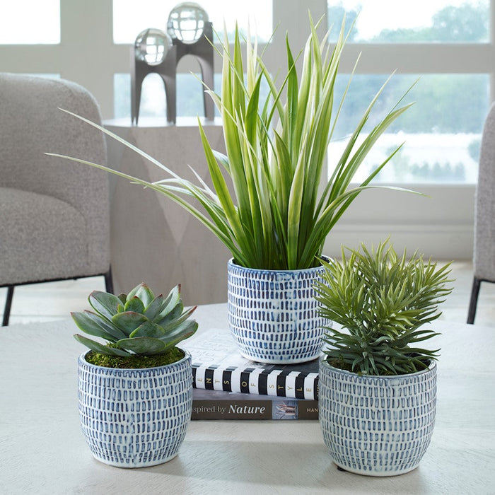 Uttermost Puebla Greenery In Blue/White Pots, Set Of 3