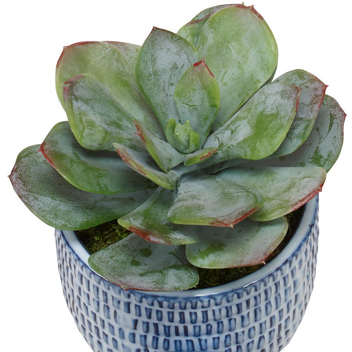 Uttermost Puebla Greenery In Blue/White Pots, Set Of 3