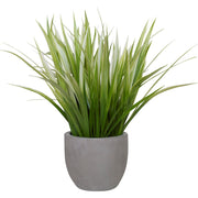 Uttermost Dracaena Grass in Gray Planter - 60194