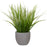 Uttermost Dracaena Grass in Gray Planter - 60194