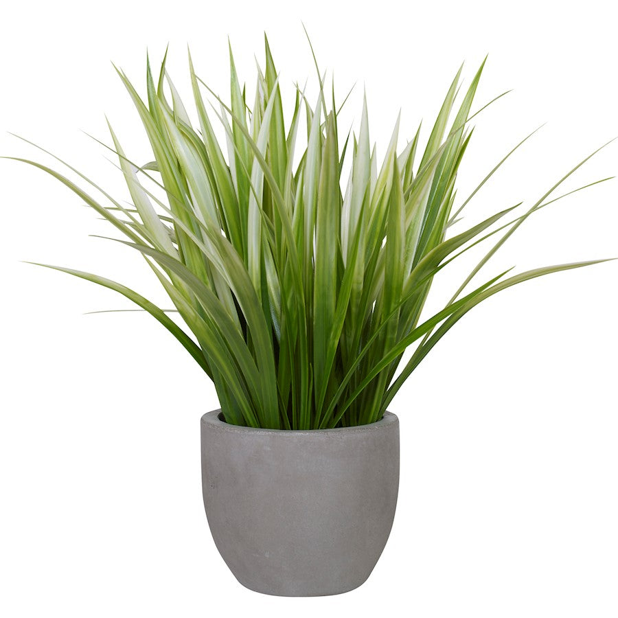 Uttermost Dracaena Grass in Gray Planter - 60194