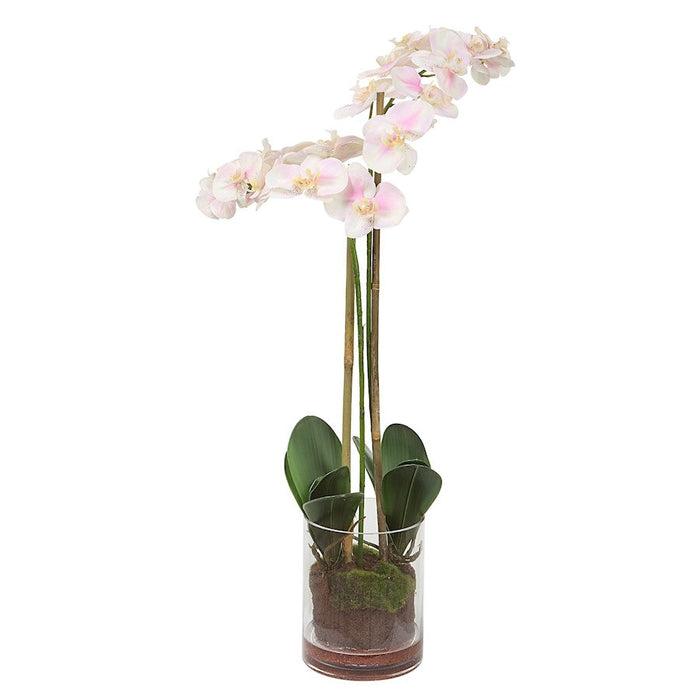 Uttermost Blush Pink/White Orchid - 60196