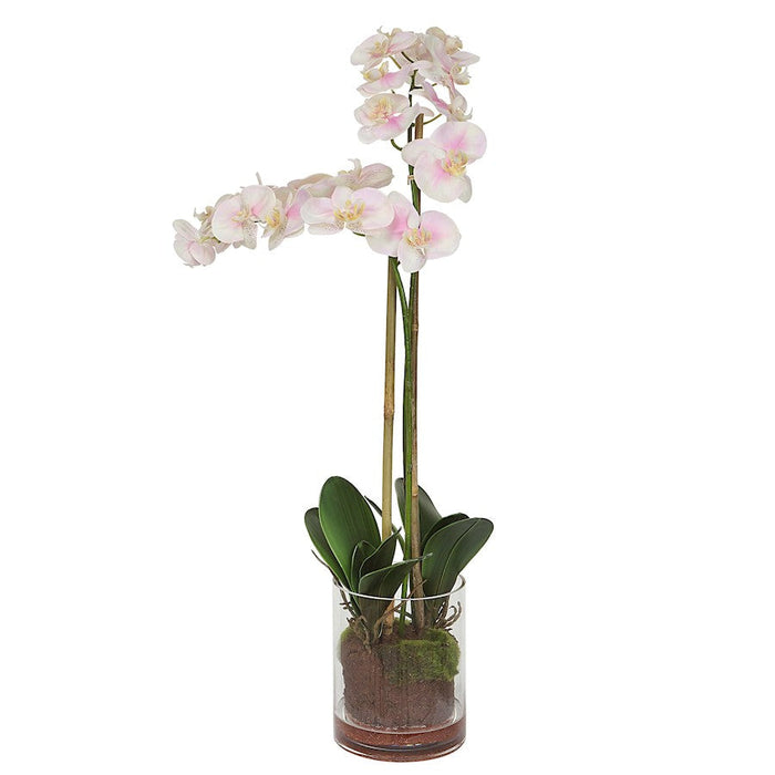 Uttermost Blush Pink/White Orchid