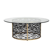Varaluz Kato Coffee Table, Havana Gold/Carbon - 348TC46HGCB