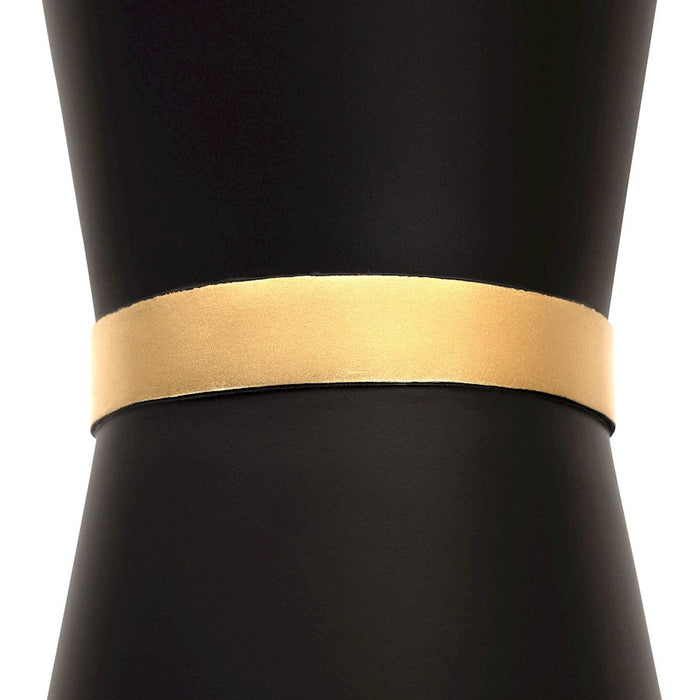 Varaluz Mad Hatter Pendant, Matte Black/French Gold