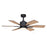 Vaxcel Mayfield 1 Light 44" Ceiling Fan, Charcoal Black/Frosted - F0104