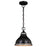 Vaxcel Sheffield 1 Light 10" Pendant, Bronze/Distressed Ash/Light Silver - P0367