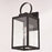 Vaxcel Medinah 1 Light Outdoor Wall Light, Black/Clear