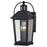 Vaxcel Lexington 1 Light Dualux 8" Outdoor Wall Light, Black/Clear - T0636