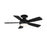 WAC Lighting Odyssey 5 Blade Flush Ceiling Fan