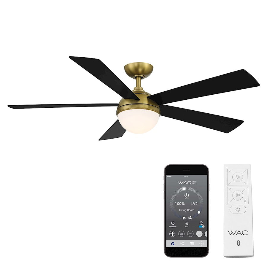 WAC Lighting Eclipse 5 Blade LED Ceiling Fan, Brass Black/Black - F-053L-SB-MB