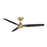 WAC Lighting Blitzen 3 Blade Smart Ceiling Fan