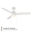 WAC Lighting Atlantis 3 Blade Pull Chain Ceiling Fan