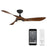 WAC Lighting Swirl 3 Blade LED Smart Ceiling Fan, Black Koa/ Koa - F-074L-MB-DK