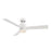 WAC Lighting San Francisco 3 Blade Ceiling Fan