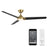 WAC Lighting Zelda 3 Blade LED Ceiling Fan, Brass Black/Black - F-088L-SB-MB