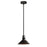 AFX Lighting Gus 10'' Outdoor Led Pendant, 12W/120V, Black