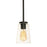 AFX Lighting Joanna 1 Light Pendant, Textured Black/Clear - JNNP05MBBK