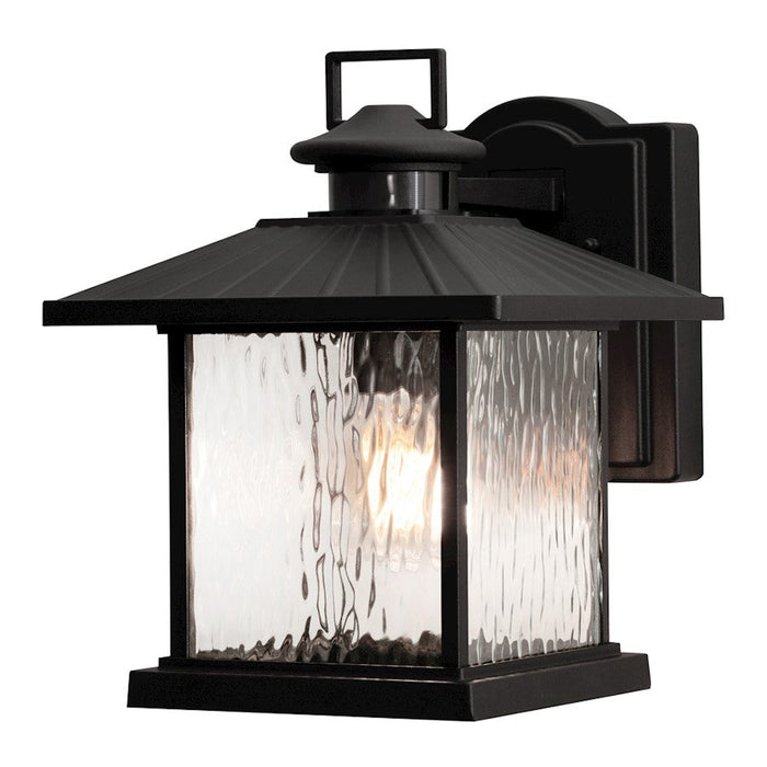 AFX Lighting Lennon 1 Light Outdoor Wall Sconce, Black/Clear