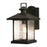 AFX Lighting Lennon 1 Light Outdoor Wall Sconce, Black/Clear