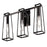 AFX Lighting Lynn 3 Light Vanity, Black